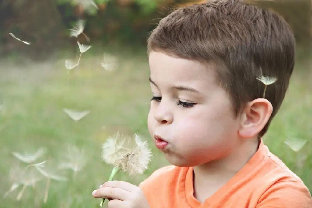 Diafilm1 - Kisfiú pitypanggal